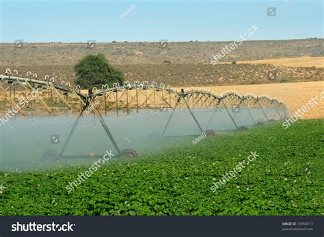 Le Développement du Premier Système d'Irrigation au Cap en Afrique du Sud: 7ème siècle: Une Ingéniosité Agricole Précoce et un Impact Durable sur la Société