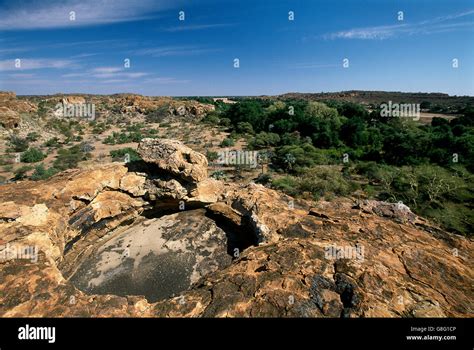 Le Royaume de Mapungubwe: Un Centre Commercial et Spirituel Prospère au XIIème Siècle en Afrique du Sud